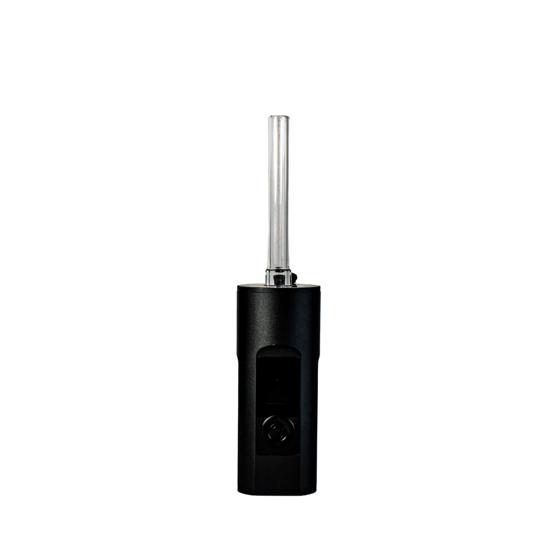 Solo II - Image 4